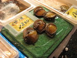 IMG_1335(640x480)