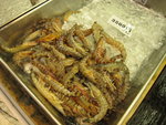 IMG_1350(640x480)