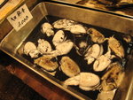 IMG_1354(640x480)
