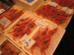 IMG_1358(640x480)