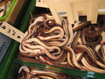 IMG_1362(640x480)