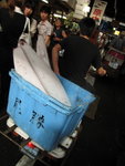 IMG_1375(640x480)