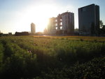 IMG_1548(640x480)