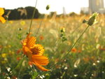 IMG_1551(640x480)