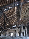 IMG_3295