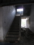 IMG_3296