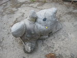 IMG_3311