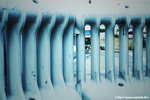 20090128_IMG_2193(750x500)