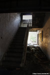 20090128_IMG_2200(500x750)