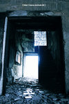 20090128_IMG_2208(500x750)