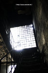 20090128_IMG_2209(500x750)