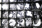 20090128_IMG_2212(750x500)