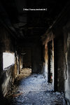 20090128_IMG_2220(500x750)