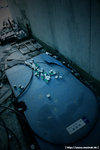 20090128_IMG_2241(500x750)