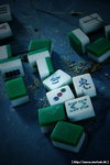 20090128_IMG_2242(500x750)