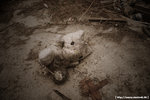 20090128_IMG_2243(750x500)