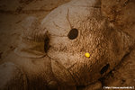 20090128_IMG_2244(750x500)