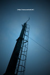20090128_IMG_2246(500x750)