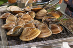 20090701_IMG_4911(750x500)b