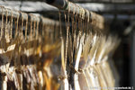 20090701_IMG_4946(750x500)