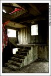 kwutung_IMG_3079(528x784)