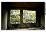 kwutung_IMG_3083(768x544)