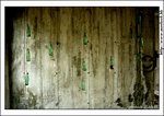 kwutung_IMG_3089(768x544)