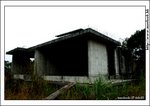 kwutung_IMG_3100(768x544)