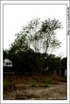 kwutung_IMG_3101(528x784)