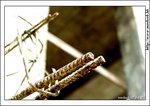 kwutung_IMG_3108(768x544)