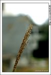 kwutung_IMG_3111(528x784)