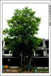 kwutung_IMG_3112(528x784)