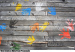WKWP_IMG_1761(720x500)