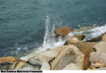 WKWP_IMG_1766(720x500)