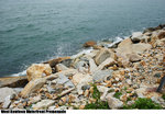 WKWP_IMG_1768(720x500)