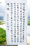 WKWP_IMG_1792(480x740)
