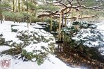 DSC03729
