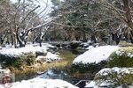 DSC03744