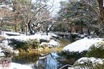 DSC03745