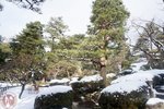 DSC03751