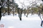 DSC03754