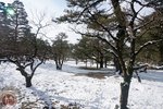 DSC03757