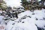 DSC03760