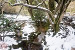 DSC03761