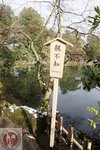 DSC03768