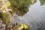 DSC03769