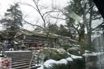 DSC03785