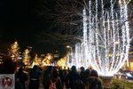 DSC02281