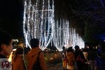 DSC02295