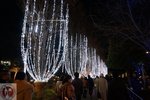 DSC02296